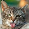 May profil fotoğrafı