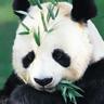 Фото профиля Jason Zhou