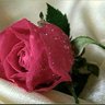 a_ Alotiby profil fotoğrafı
