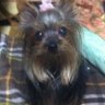 ユチョナ 的头像