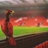 Jack Spencer's profile picture