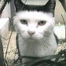 SAL8997 profil fotoğrafı