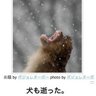 Profilbild von 粘り強いハゲ