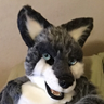 Profilbild von Coldfur