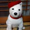 yukio okano's profile picture