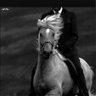 Фото профиля ALRASHEED