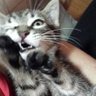 Bob, just Bob. profil fotoğrafı