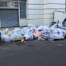 Park Slope Pile profil fotoğrafı