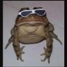 Фото профиля ratzpig