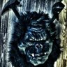 Profilbild von Captain Sasquatch