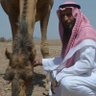 Фото профиля السد