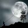 FuisteTú..~.~ profil fotoğrafı