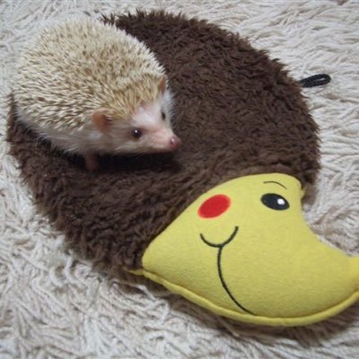 potahoku's profile picture
