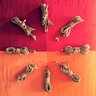 Фото профиля facocero