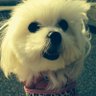 minami09521 profil fotoğrafı