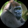 Profilbild von Humana Mente
