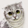 ヒート's profile picture