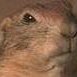 Malinovskiy Mykyta's profile picture