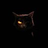 Jota Lovecraft's profile picture