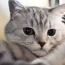 Profilbild von NEAR0615@