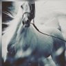 sam's profile picture