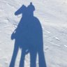 David Giles's profile picture