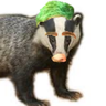 Profilbild von Septic Badger