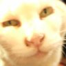 大王's profile picture