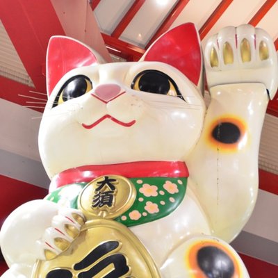 at_osu's profile picture
