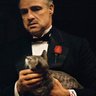 El padrino's profile picture