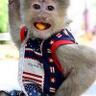 Billy Pierce's profile picture