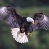 フラタニティ profil fotoğrafı