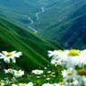 SUUDİ HANBELİ's profile picture