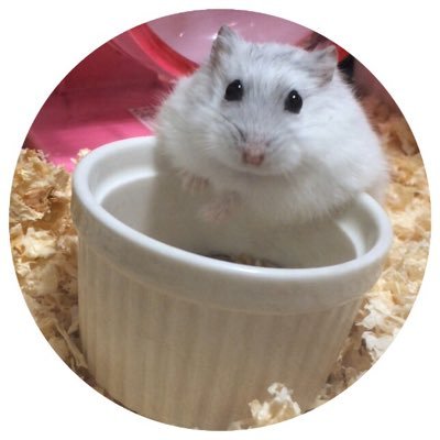 MNM's profile picture