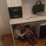 ₿eni0s profil fotoğrafı