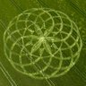 Profilbild von MeltingTheMatrix