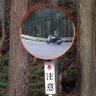 Profilbild von 前立腺ぱんち(^o^) ┌┛’ ’ ≡三