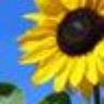 Profilbild von nurseqoo2