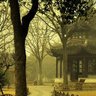 风吹沙's profile picture