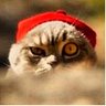 OS X El Gato's profile picture