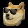 Doge Masqué 的头像