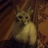 alkanbbx profil fotoğrafı