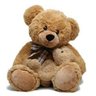 Profilbild von Nounours