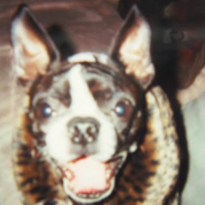 Moishe's Mom's profile picture