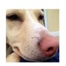 JEB's profile picture