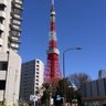 りょうくん's profile picture