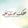 Moamen Fouad's profile picture