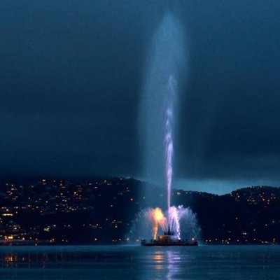 Oriental Bay's profile picture