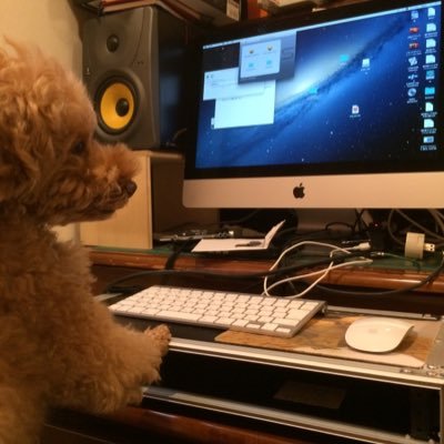 sakat_0528's profile picture