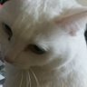 ユリ's profile picture